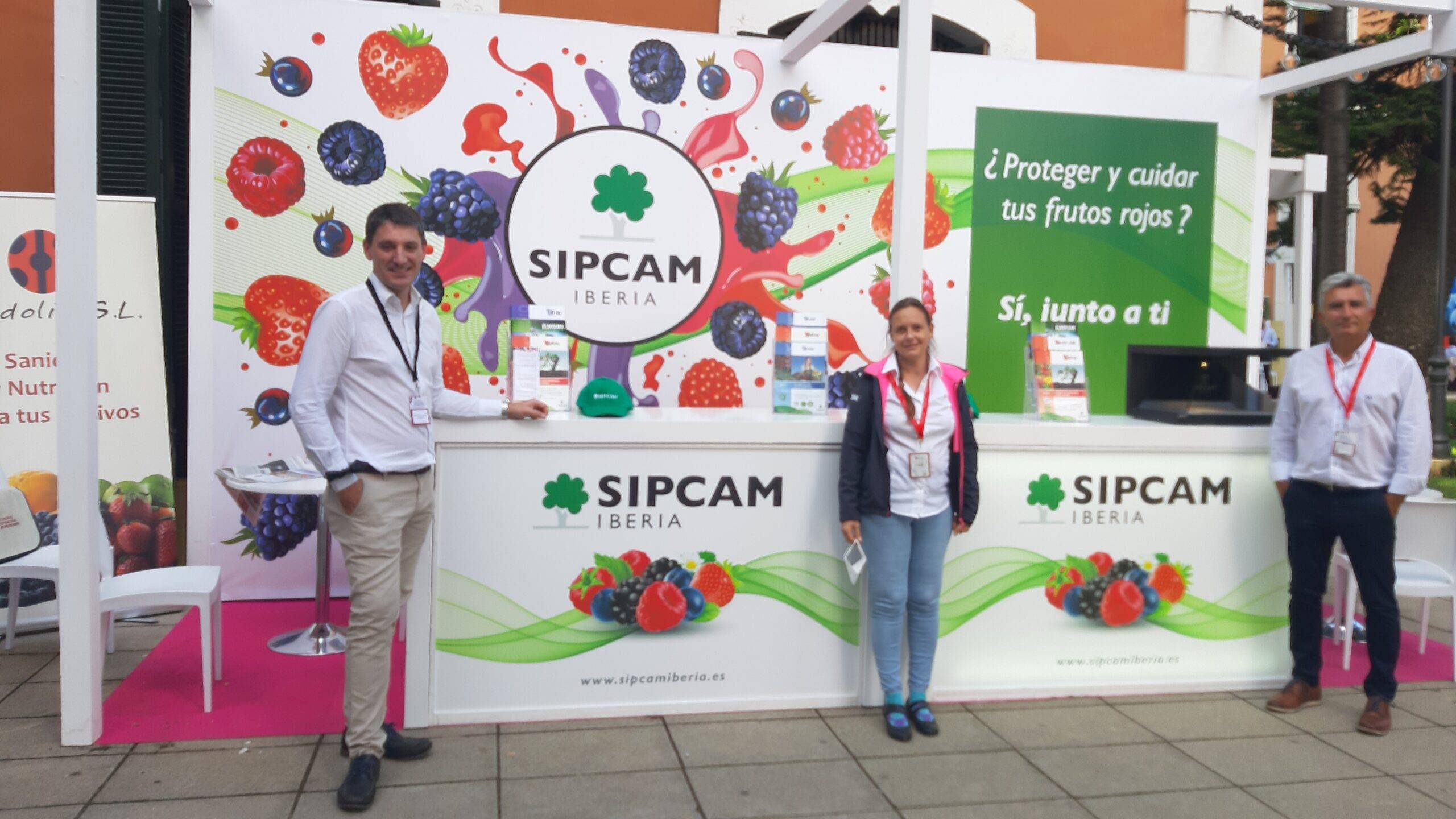 sipcam-huelva-frutos-rojos-araw|WhatsApp Image 2021-09-15 at 13.22.25|sipcam-huelva-frutos-rojos-araw|sipcam-huelva-frutos-rojos-araw